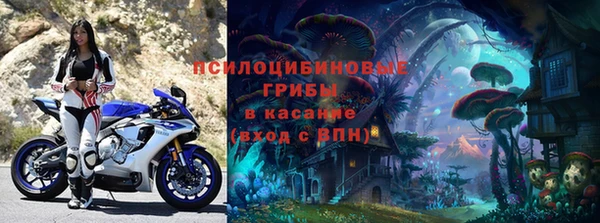 прущие грибы Алексеевка