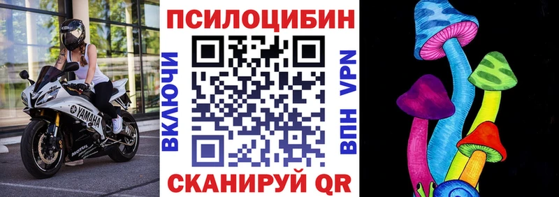 Псилоцибиновые грибы мухоморы  где продают   Пенза 